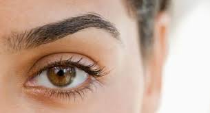 How to Increase Eyebrow Growth
