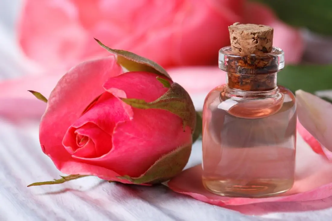 Surprising Benefits of Rose Water