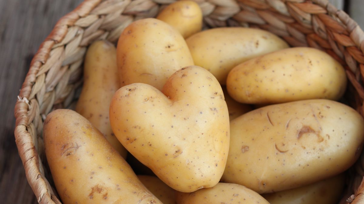 Benefits of Eating Potatoes