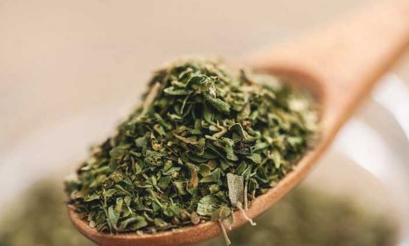 Benefits of Oregano