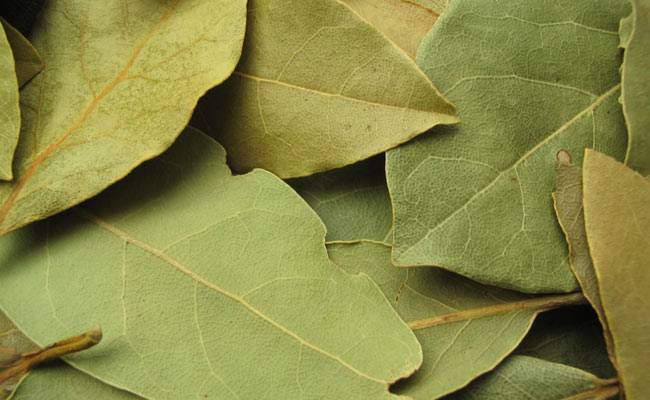 Benefits of Bay Leaves