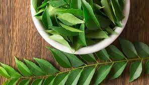 Curry leaves are beneficial for health
