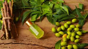 Benefits of Neem Oil