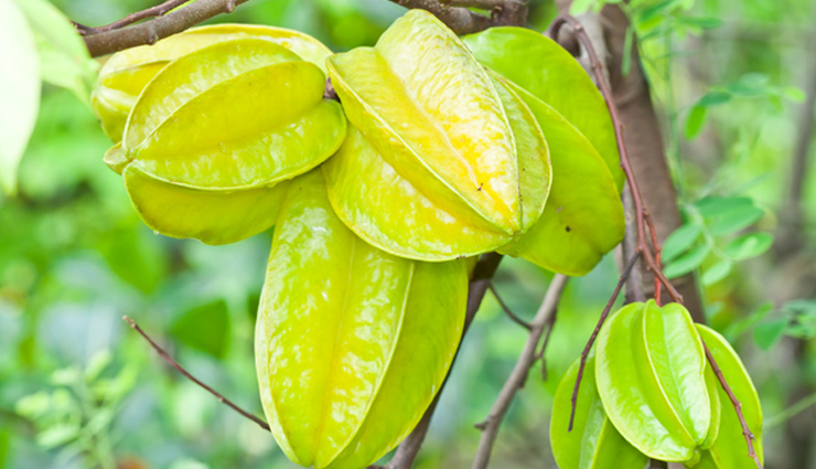 Benefits of Eating Kamarkha Fruit