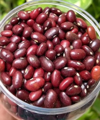 Benefits of Eating Kidney Beans