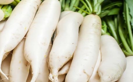 Tricks to keep Radish Fresh