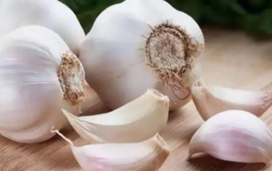 Benefits of eating Garlic
