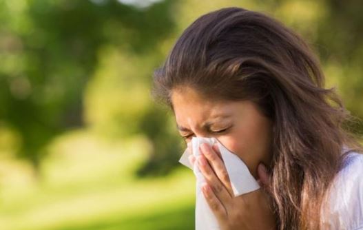 What to do in case of continuous sneezing,