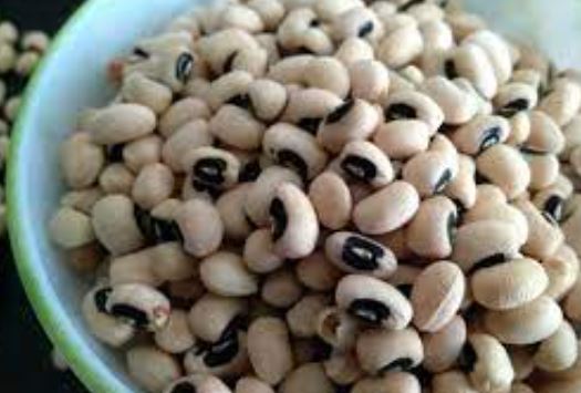 Benefits of eating Cowpea