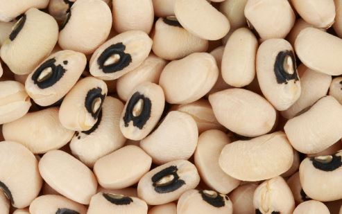 Benefits of eating Cowpea