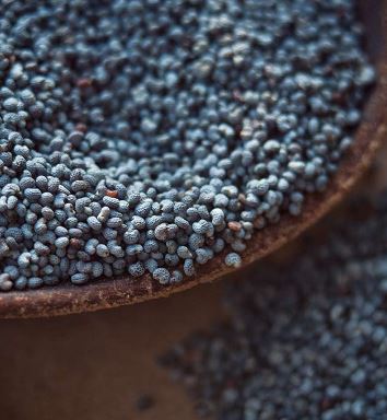 Benefits of poppy seeds