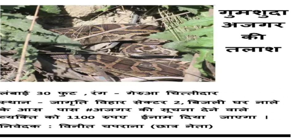 Posters of missing python)