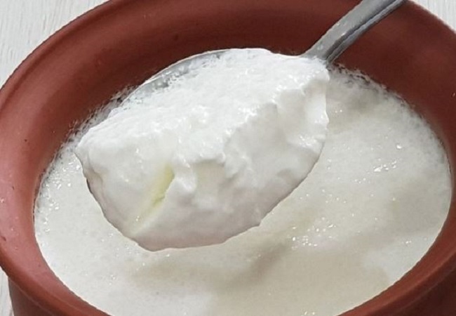 Trick for setting curd