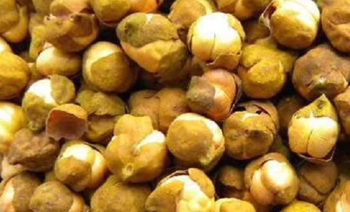 Benefits of eating roasted gram